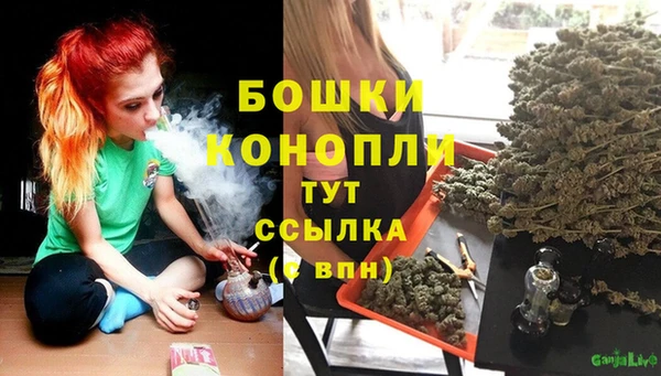 трава Абаза