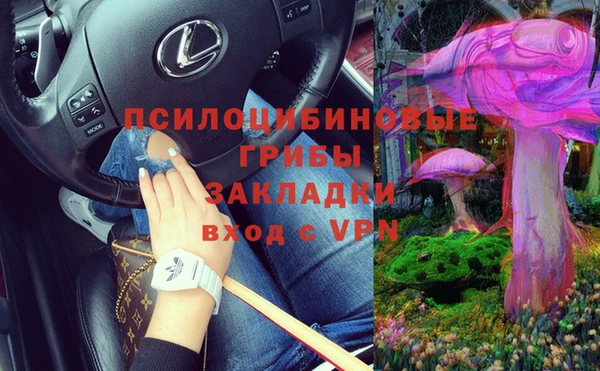 трава Абаза