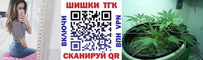 Шишки марихуана SATIVA & INDICA  hydra сайт  Новоалександровск  где продают  